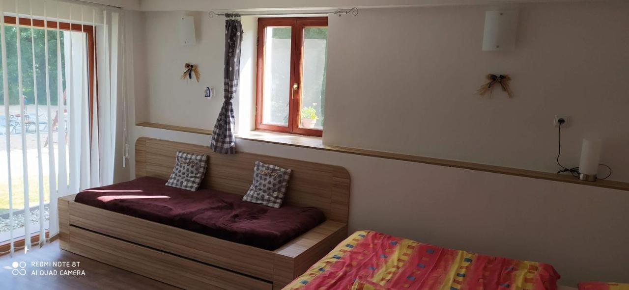 Apartmany Natalie Dvory nad Luznici Exteriér fotografie