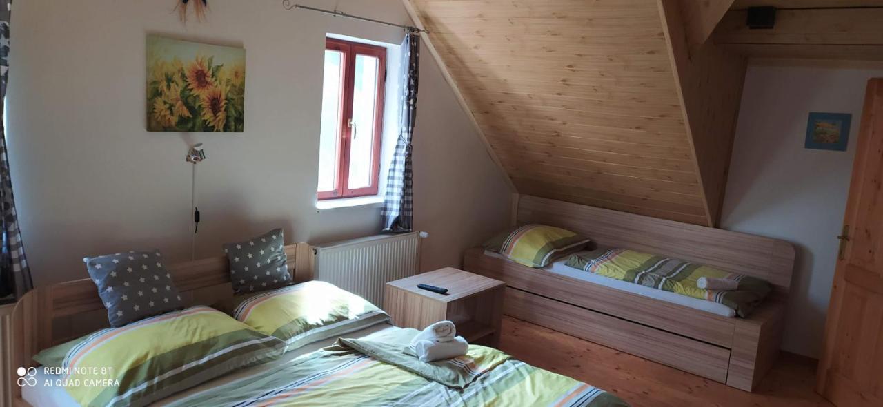 Apartmany Natalie Dvory nad Luznici Exteriér fotografie